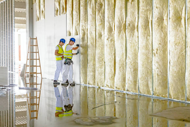 Best Blown-in Insulation in Lafayette, GA
